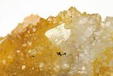 Sunshine Cactus Quartz Crystal Cluster - South Africa #212680-2
